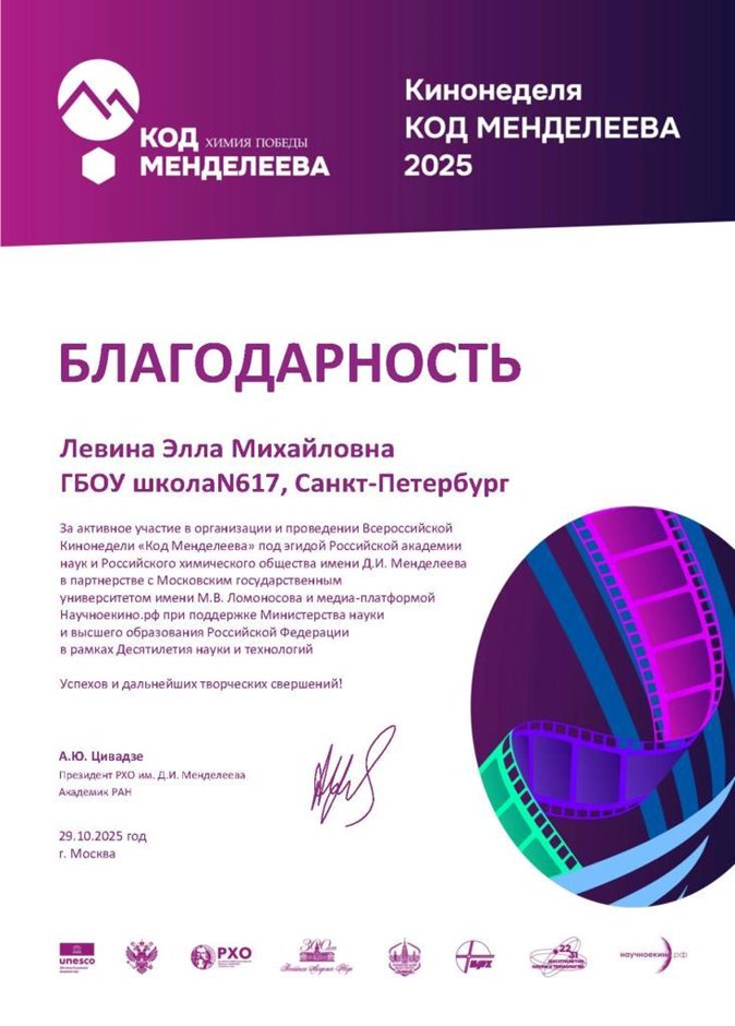 Левина Элла Михайловна 2025-2026